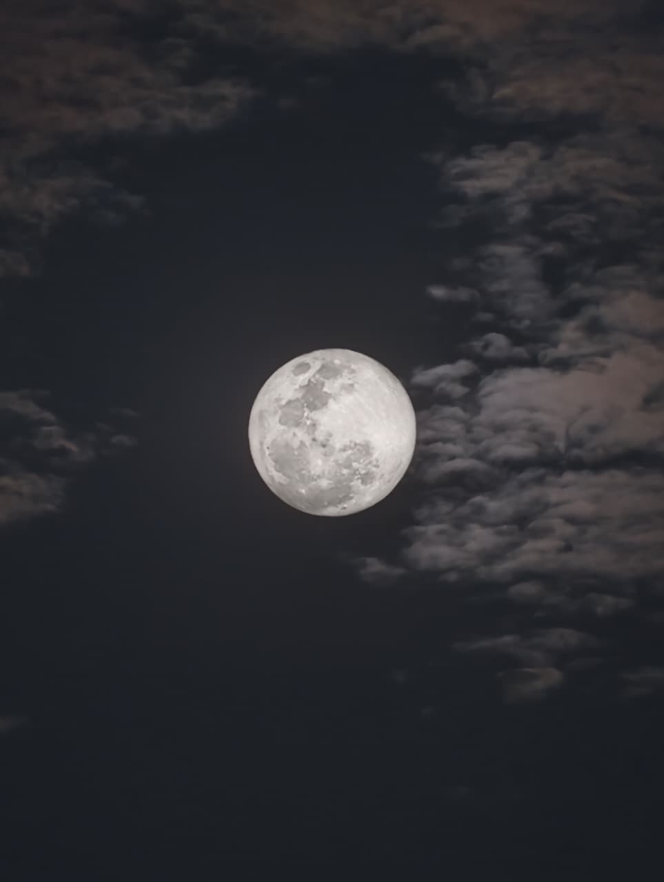 Lunar Beauty